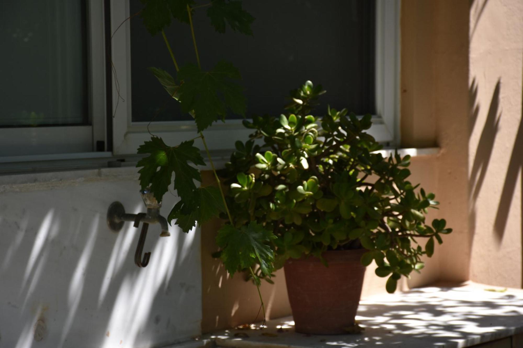 Villa Gerani Gerani (Chania) Exterior foto